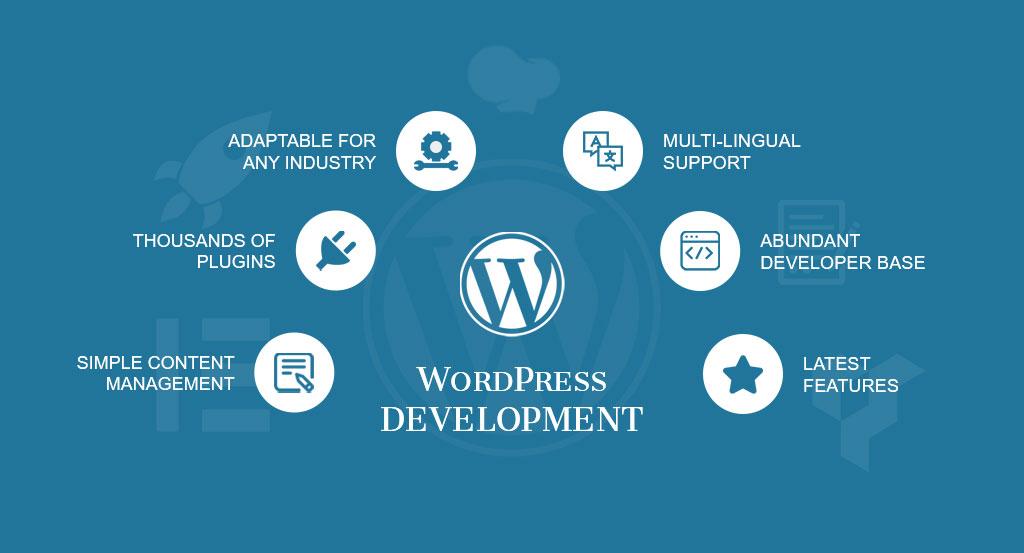 WordPress Website Development Company