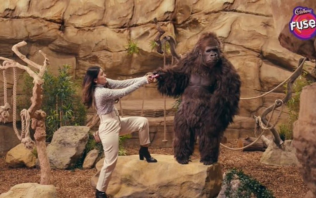 Gorilla Cadbury Commercial