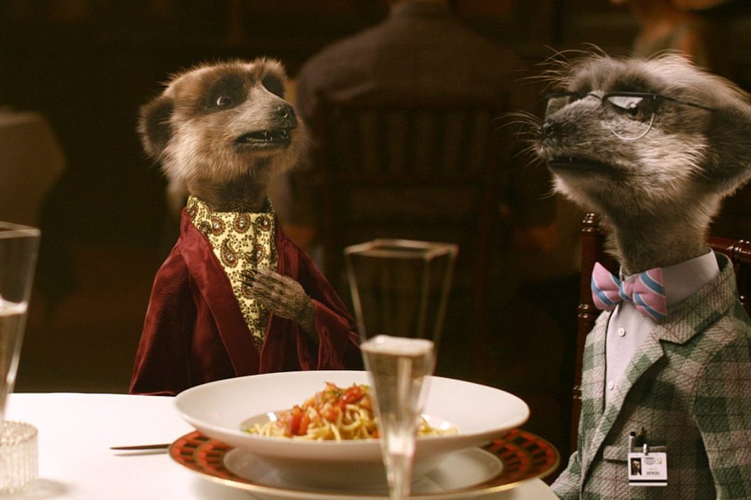 Meerkat Sergei