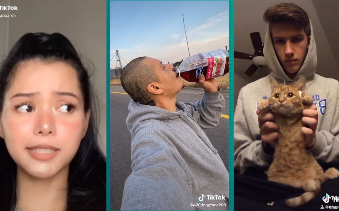 Most Liked TikTok