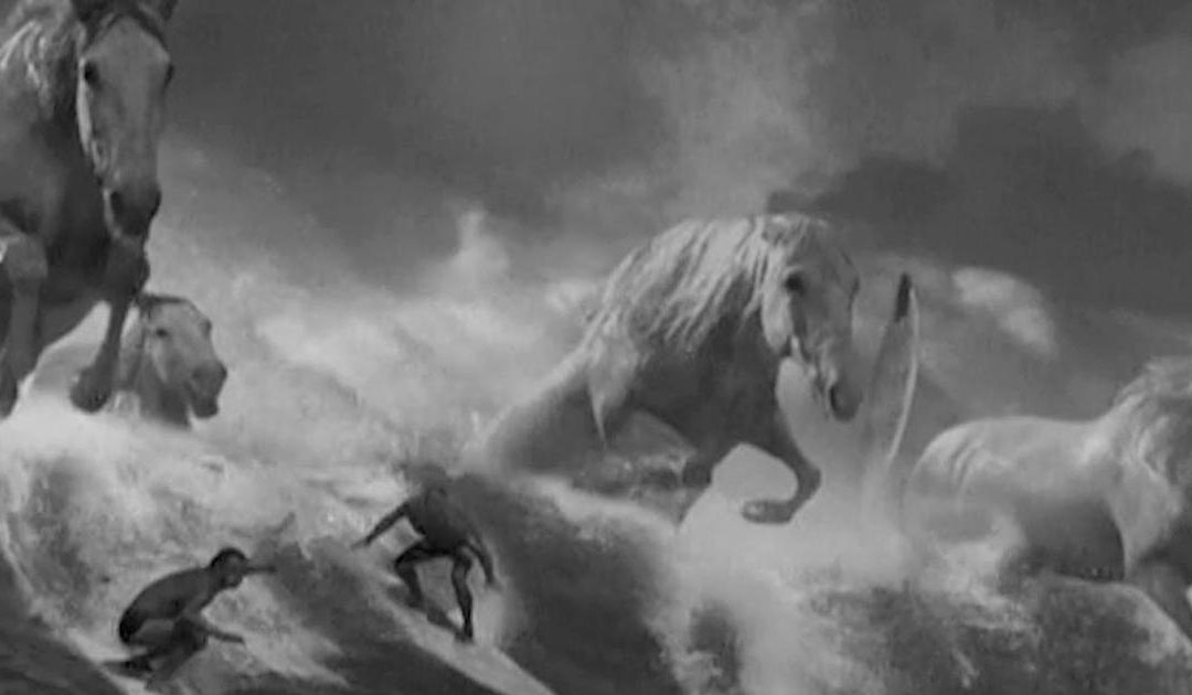 Guinness Surfer Commercial