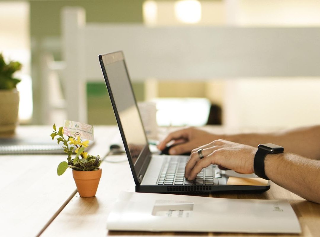 Accounting Software for Multiple Businesses