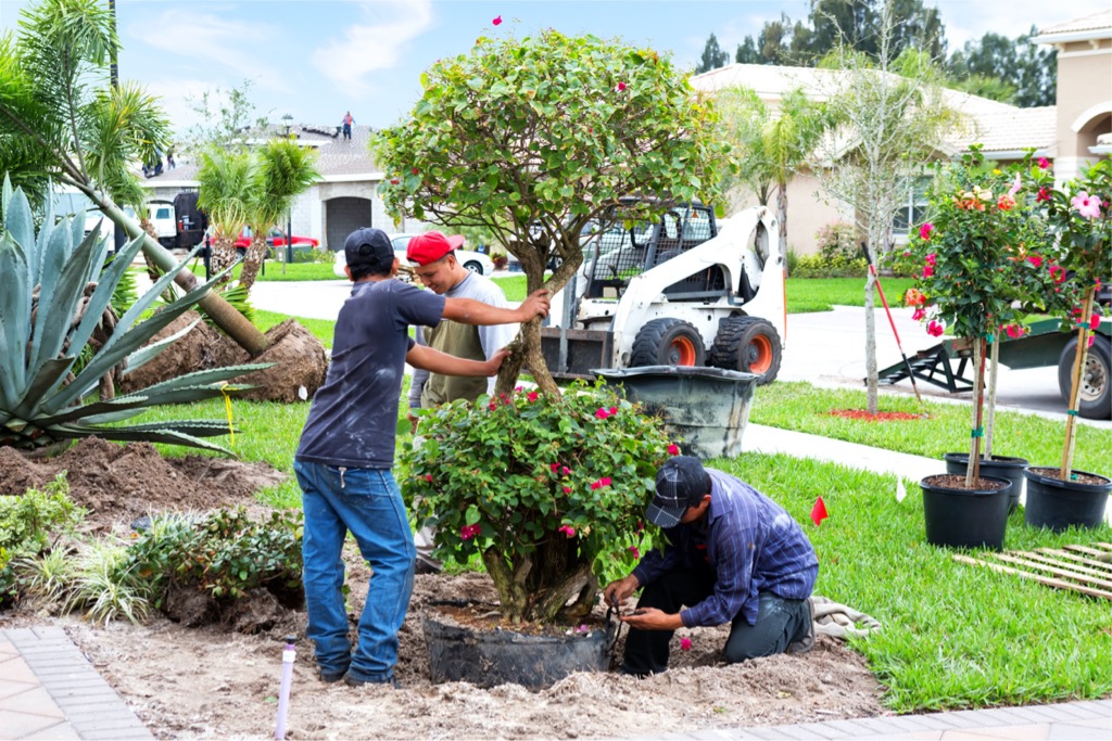 Small Job Landscapers Near Me