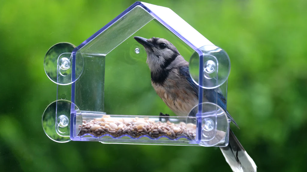 In Window Bird Feeder